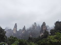 -张家界青和锦江国际酒店