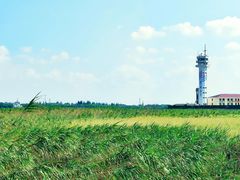 -上海吴淞炮台湾国家湿地公园