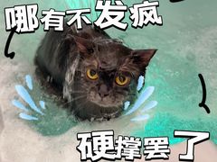 -悠尼宠物·独立低压伊珊娜洗护·美容·寄养(兰谷路店)