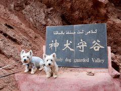 -天山神秘大峡谷
