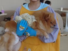 -怪兽屋·羊驼·猫咖·狗咖(俊华广场店)