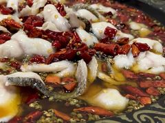 -金三可市井水煮鱼(金碧园店)