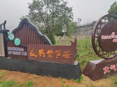 -大唐贡茶院