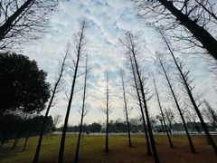 -眉山湿地公园(东坡区)