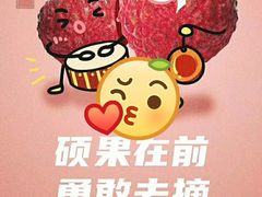 -上海市控江中学