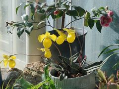 -国家植物园南园