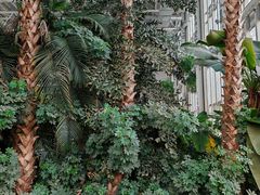 -中家鑫园温泉酒店鑫悦汤泉