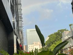 -野萃山·潮汕厚果汁(十亩地店)