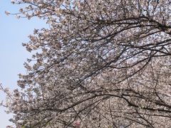 -堤角公园