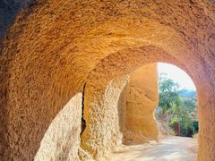 -元谋土林景区(物茂土林)