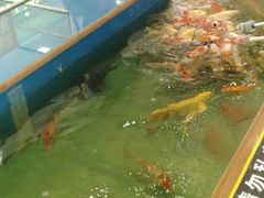 -凯德广场(西城店)