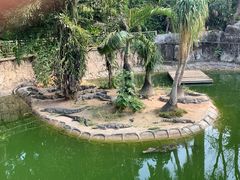 -深圳野生动物园