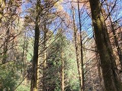 -山王坪喀斯特国家生态公园