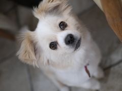 -零几体验diy皮具工作室(振业城店)