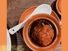 张氏狮子头-羲和雅苑•北京烤鸭(陆家嘴中心店)