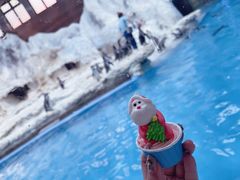 -帝企鹅自助餐厅•儿童岛•真企鹅(长隆企鹅酒店)