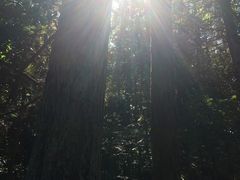 -安溪清水岩