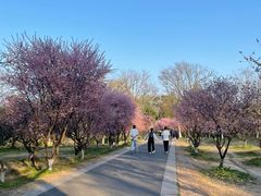 -西溪国家湿地公园