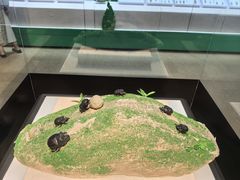 -烟台市博物馆