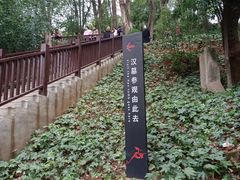 -马王堆汉墓遗址