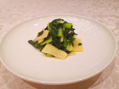 塔菜冬笋-新光酒家·河豚·海鲜·蟹料理(浦东店)