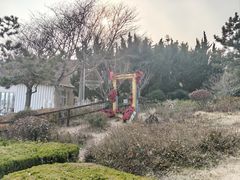 -燕儿岛山公园
