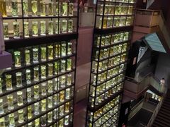 -广东中医药博物馆