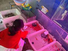 -双季花艺园艺市场(浦东店)