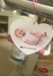 -玛丽亚妇产医院