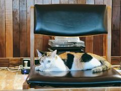 -麦田书店(国防路店)