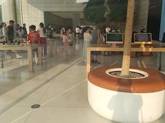 -Apple零售店(济南恒隆广场店)