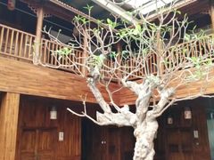 -龙达温泉生态城