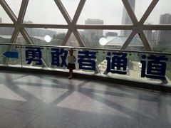 -陕西自然博物馆