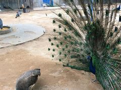 -森林公园(尖草坪区)