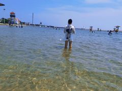 -碧海金沙