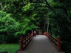 -紫霞湖公园