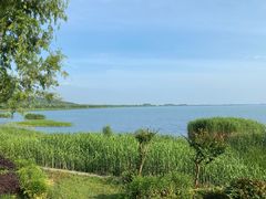 -太湖湖滨国家湿地公园-停车场