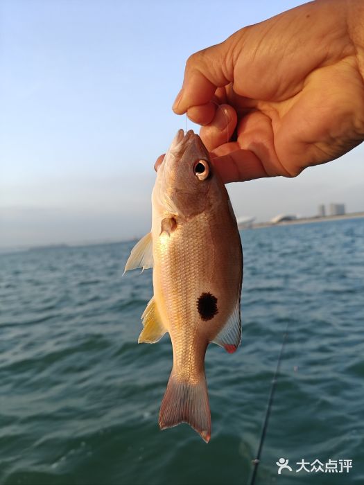 鑫艋游艇海钓俱乐部图片