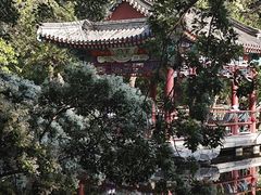 -北京大学-燕南食堂