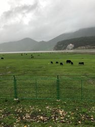 -纳帕海依拉草原