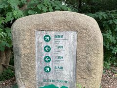 -惠山国家森林公园