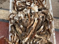 -双喜农庄·菌香园(安居家园店)