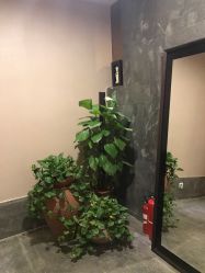 -禾颜社·精致美容