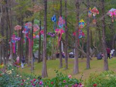 -人民公园(罗湖区)