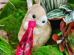 -果蔬好生活超市(东湖店)