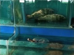 水产区-洞庭鱼香(万科店)