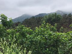 -葛子涧农家宴
