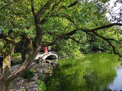 -西湖外事游船(花港观鱼码头)