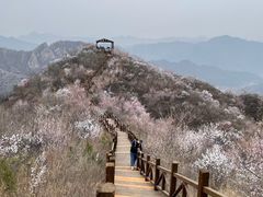 -大岭沟猕猴桃谷风景区