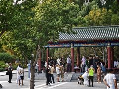 -莲花池公园